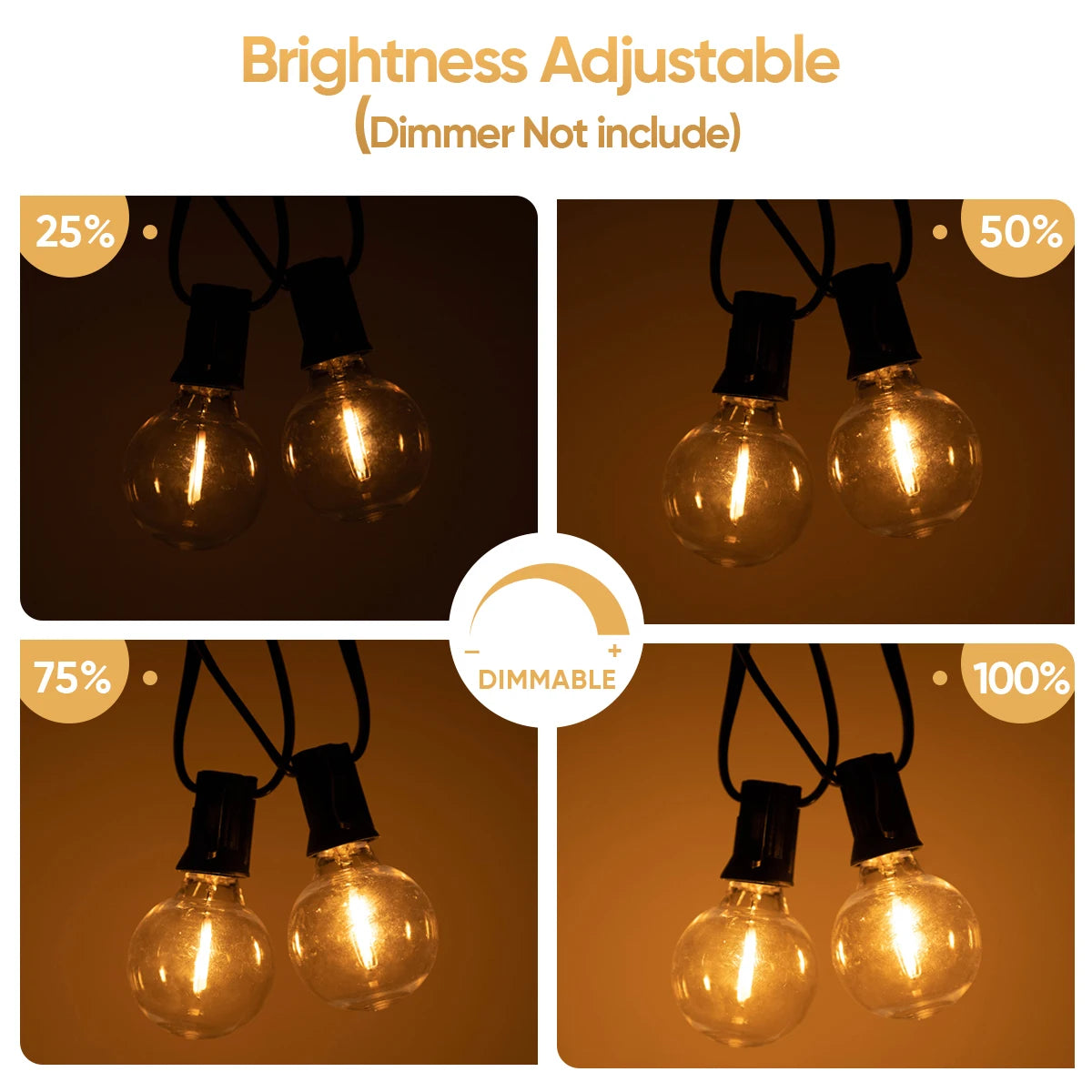 Shatterproof G40 Light Decor