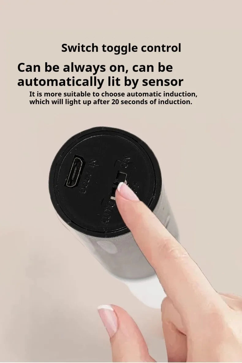 Magnetic wall light